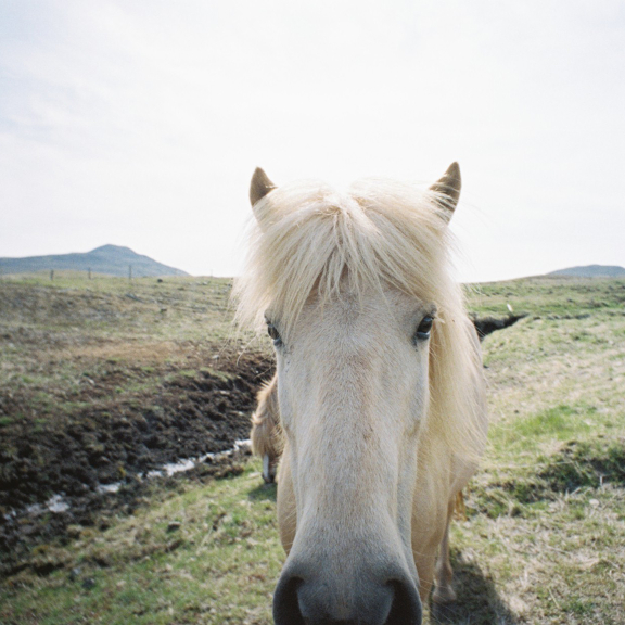 Top 25 Square Images Taken With the LC-Wide