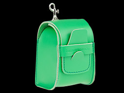 Diana Mini Flash Case Fern Green