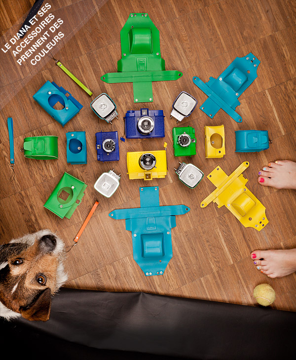 monochromediana-header