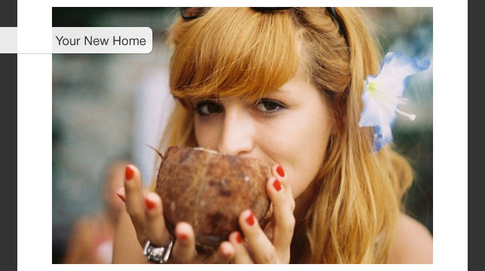 Your New Home