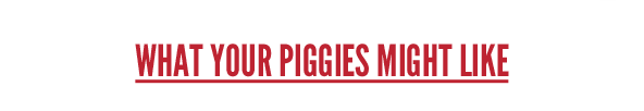 What your Piggies might like 