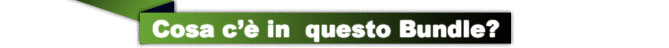 What’s in the Bundle 