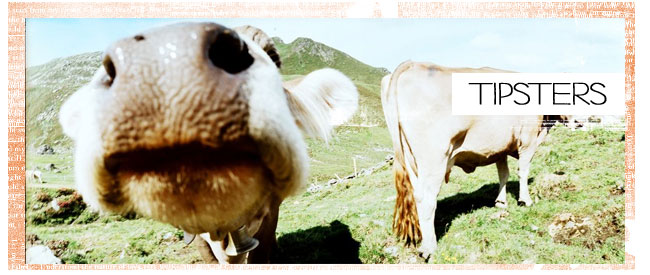 Lomography is a Tipsters