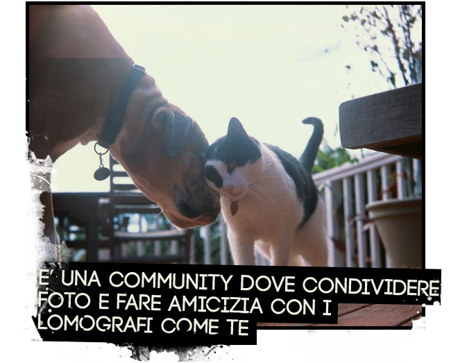 E una community dove condividere foto e fare amicizia con i lomografi come te