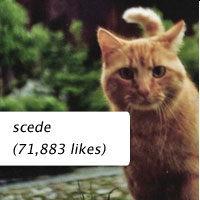 scede
