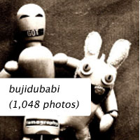 bujidubabi