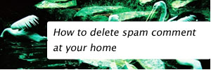 72179-how-to-delete-spam-comment-at-your-home