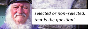 72573-selected-or-non-selected-that-is-the-question