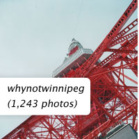 whynotwinnipeg