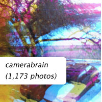 camerabrain