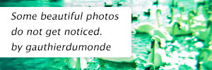 http://www.lomography.com/homes/gauthierdumonde/blog/88715-some-beautiful-photos-do-not-get-noticed