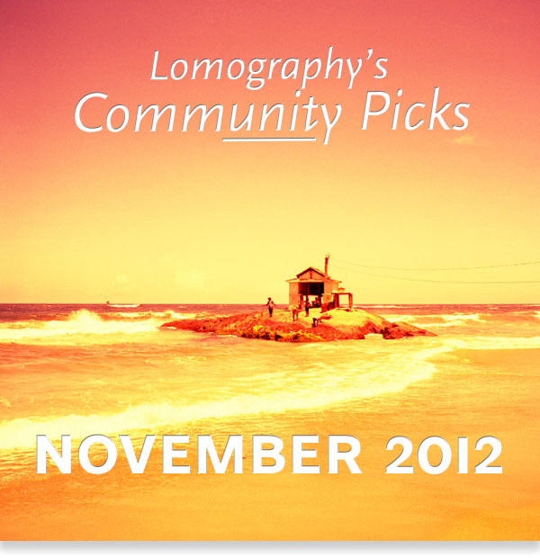 Lomography's Community Picks November 2012 
