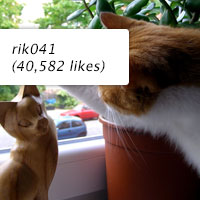rik041