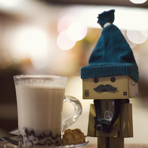 danbo