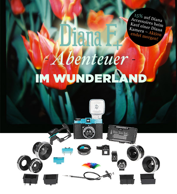 ABENTEUER IM DIANA F+ WUNDERLAND