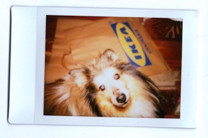 Diana Instant Back+ photos