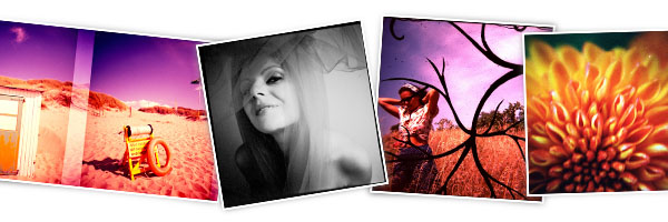 Photos by Diana