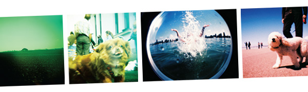 La Sardina sample pictures