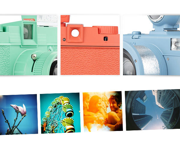 La Sardina Seduction detail pictures
