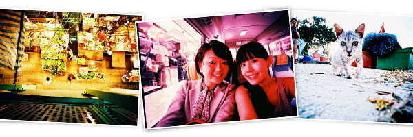Photos by Premium Camera