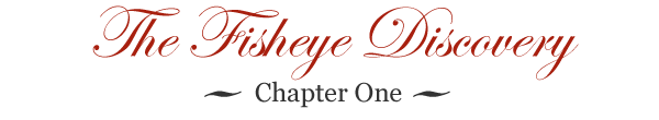 Chapter One