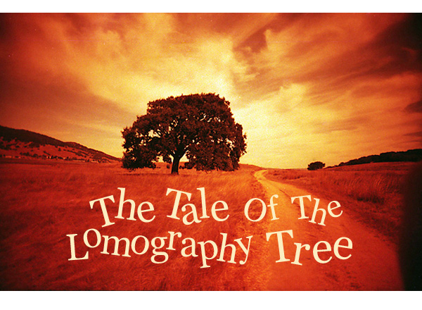 The Tale Of The Lomography Tree
