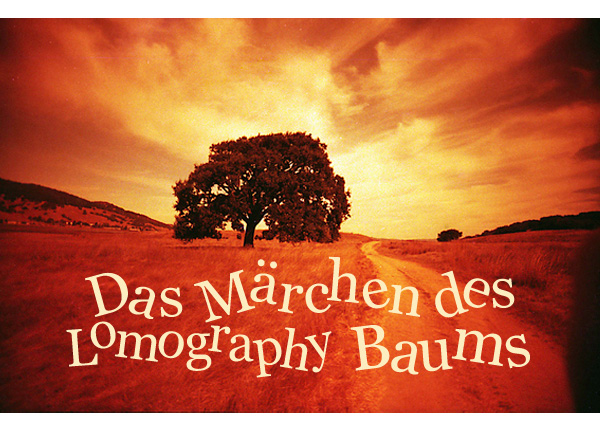 The Tale Of The Lomography Tree