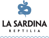 Sapphire Serpent Logo