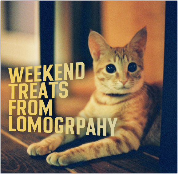 Weekend treats from Lomography 