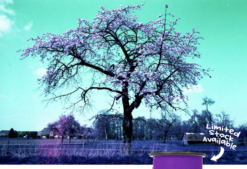 LomoChrome