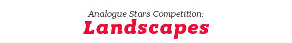 Analogue Stars Competition: Landscapes