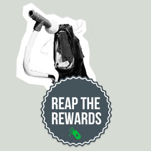 Reap The Rewards!