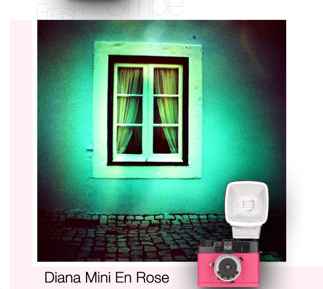 Diana Mini En Rose