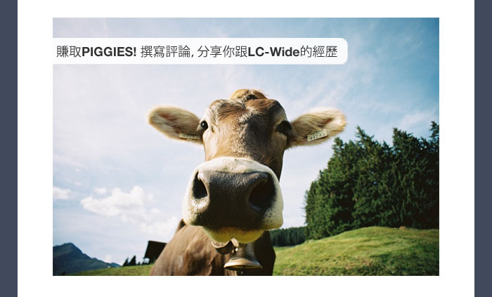 Earn Piggies! Share Your LC-Wide Experience with a Review