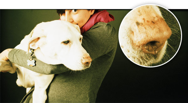 Example Photos