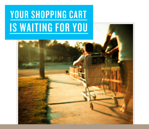 Your Shopping Cart is Waiting For You