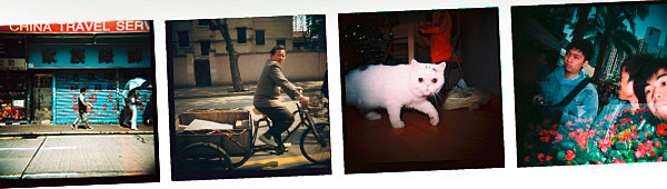 Introducing the Diana F+ Cai Guo-Qiang