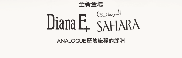 An Oasis for Medium Format Analogue Adventures