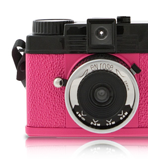 Diana En Rose