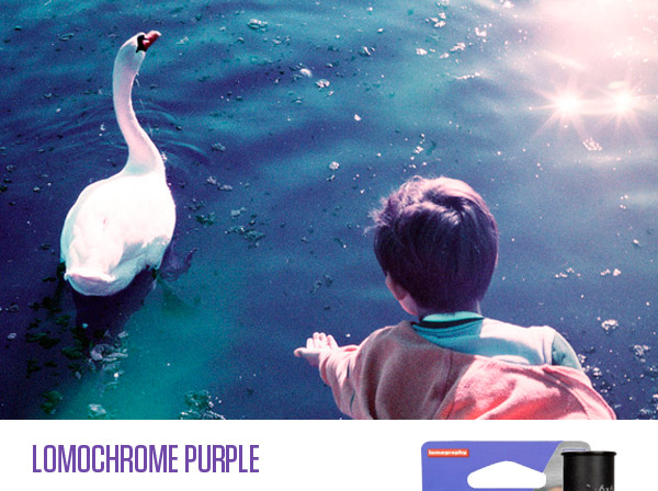 LomoChrome Purple 35mm and 120