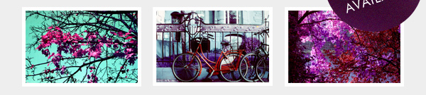 Lomochrome Purple 35mm