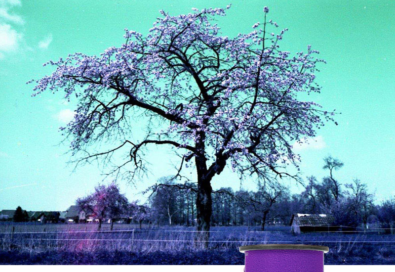 LomoChrome
