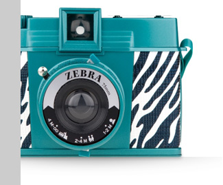 Diana F+ Zebra