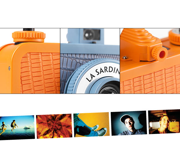 La Sardina Seduction detail pictures