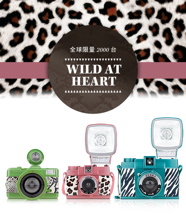 Wild At Heart - Limited to 2000 pieces