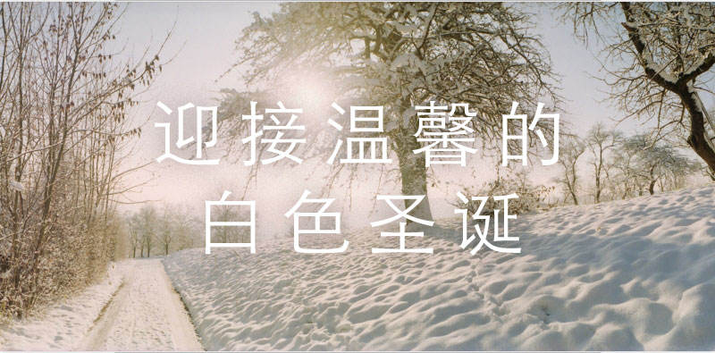 A WHITE WINTER WONDERLAND 
