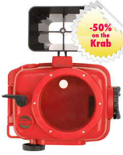 Lomo Krab