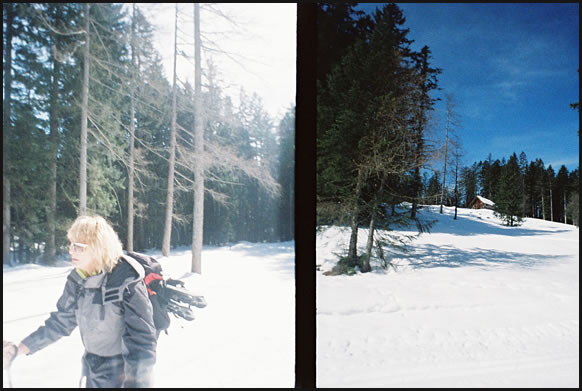 Visit the Diana Mini Microsite