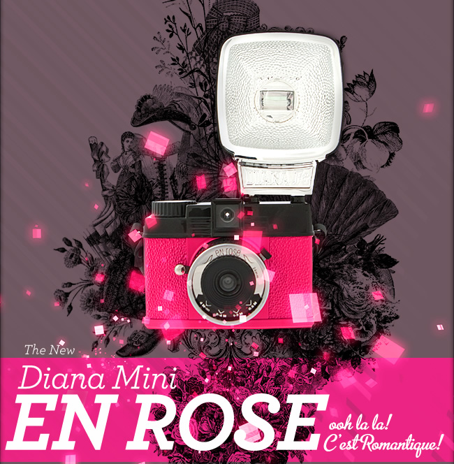 Ooh La La! C’est Romantique! The New Diana Mini En Rose