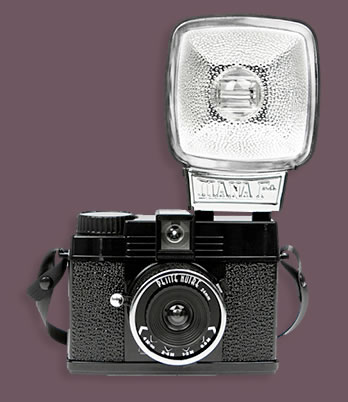 Diana Mini Petite Noir